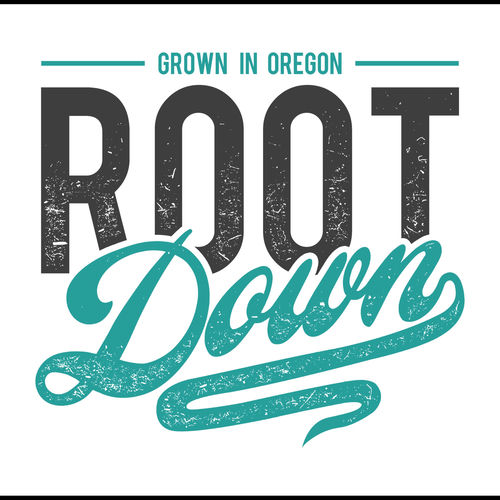 Rootdown头像