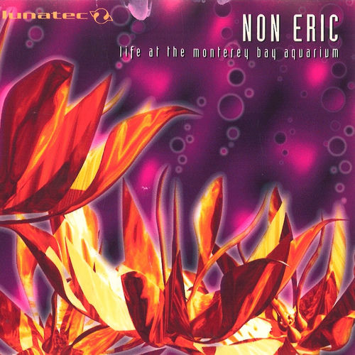 Non Eric头像