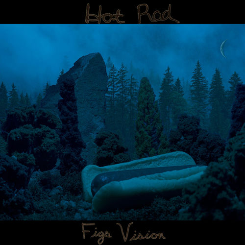 Figs Vision头像