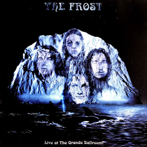 The Frost头像