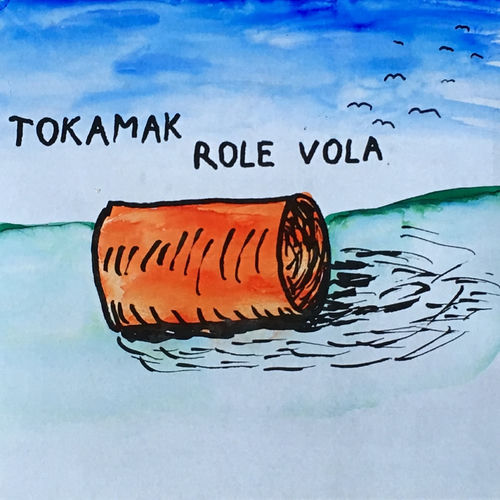 Tokamak头像