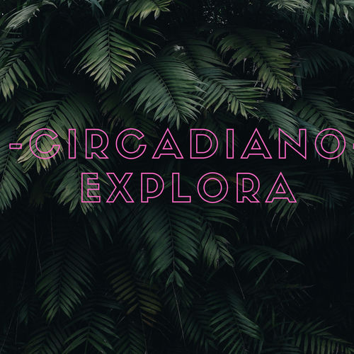 Explora头像