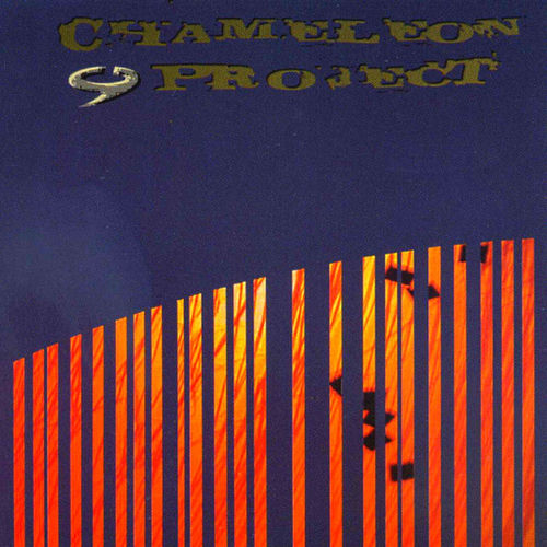 Chameleon Project头像