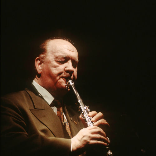 Arne Domnérus头像
