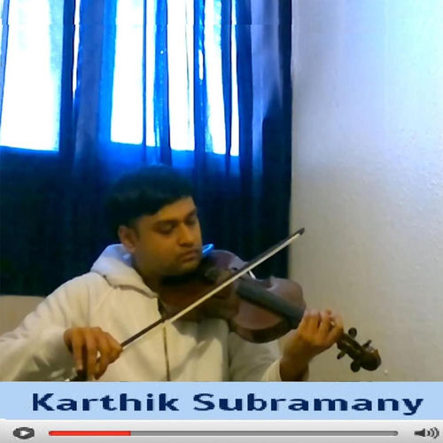 Karthik Subramany头像