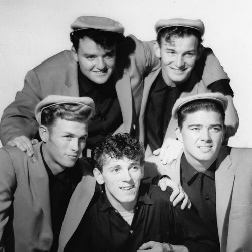 Gene Vincent & His Blue Caps头像