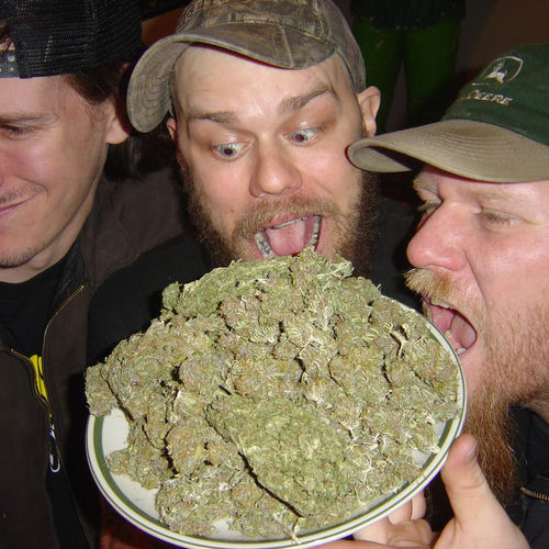 Weedeater头像