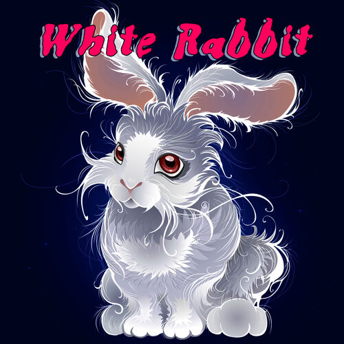 White Rabbit头像