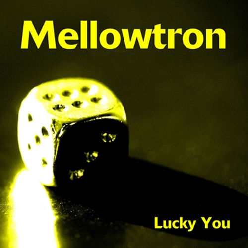 Mellowtron头像