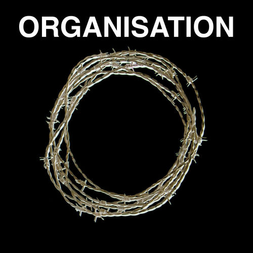 Organisation头像