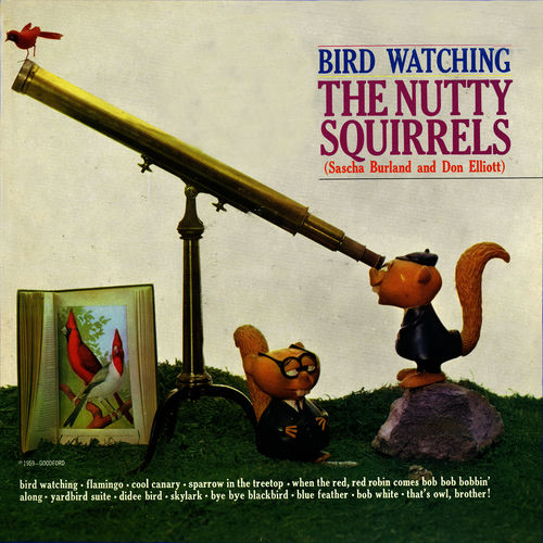 The Nutty Squirrels头像