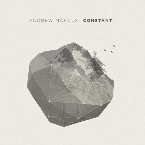 Andrew Marcus头像