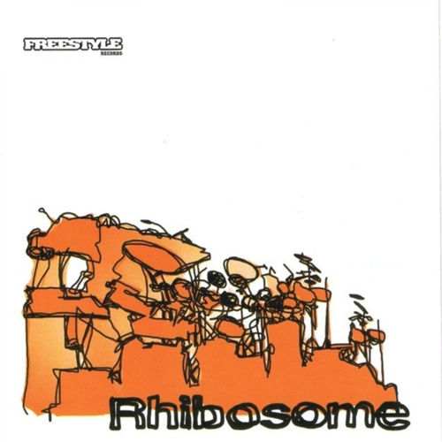 Rhibosome头像