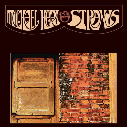 Michael Head & The Strands头像