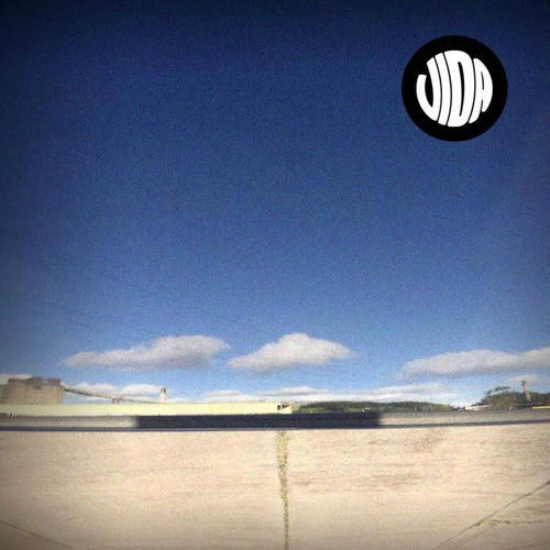 Vida头像