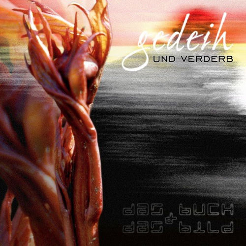 Das Buch & Das Bild头像