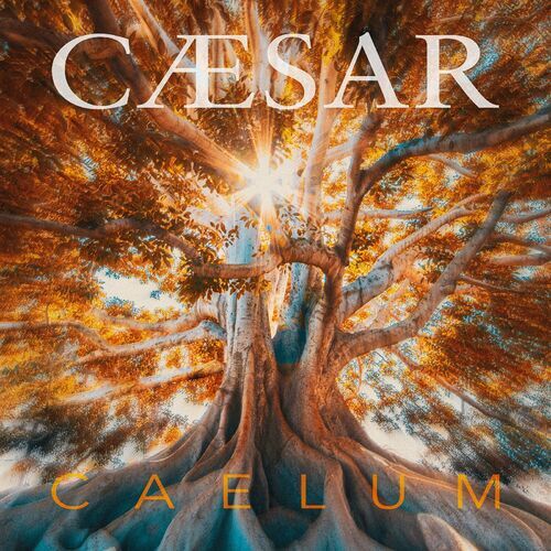 Cæsar头像
