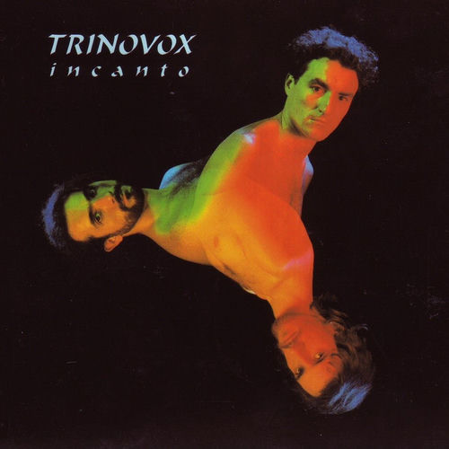Trinovox头像