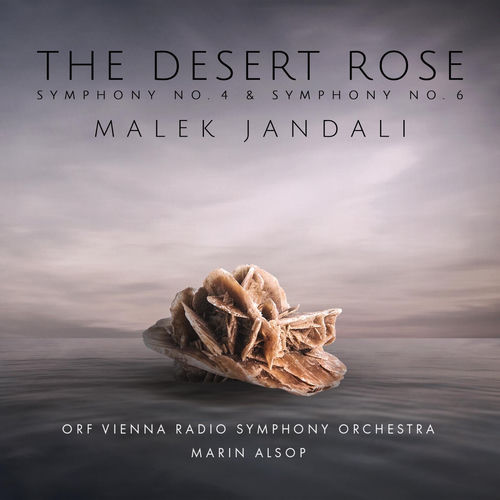 Malek Jandali头像