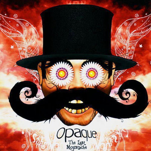 Opaque头像