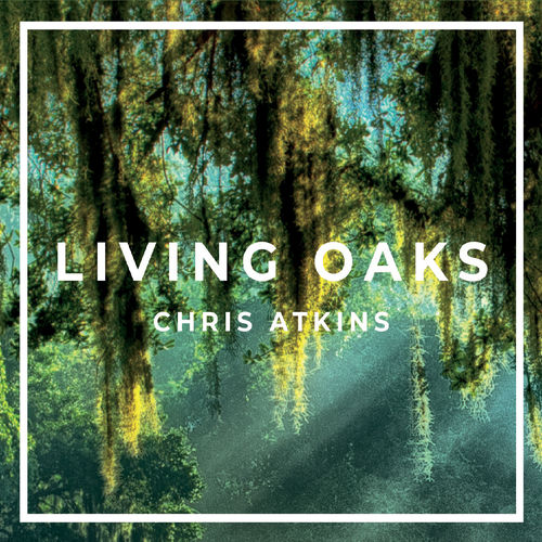 Chris Atkins头像