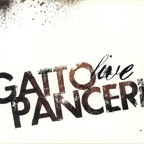 Gatto Panceri头像