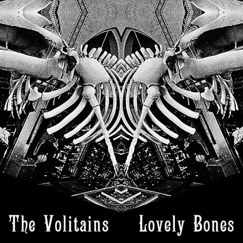 The Volitains头像