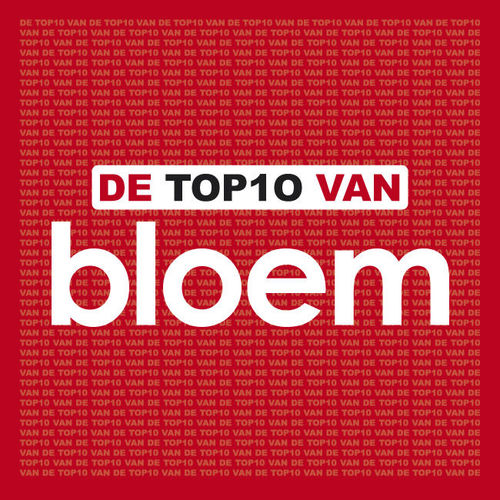 Bloem头像