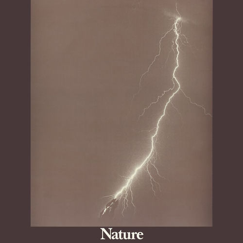 Nature头像