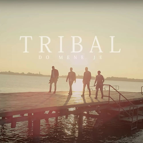 Tribal头像