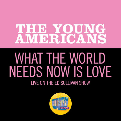 The Young Americans头像
