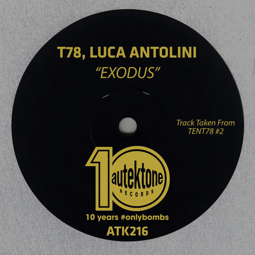 Luca Antolini头像