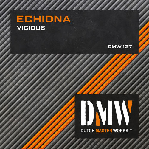 Echidna头像