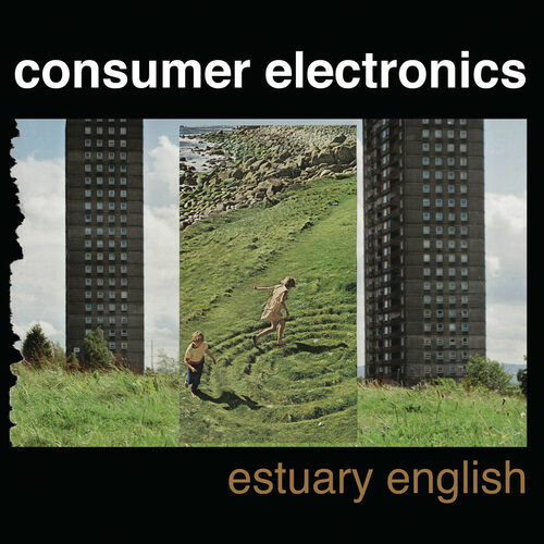 Consumer Electronics头像
