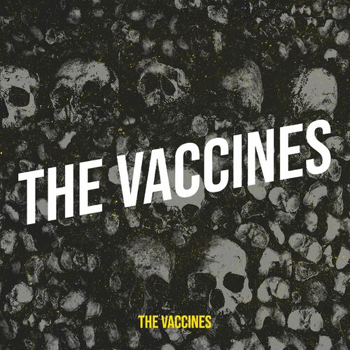 The Vaccines头像