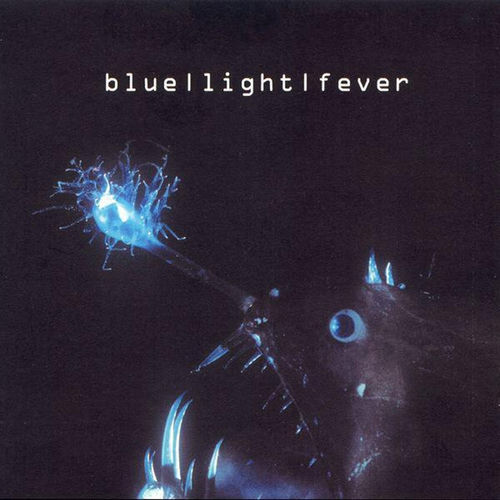Blue Light Fever头像