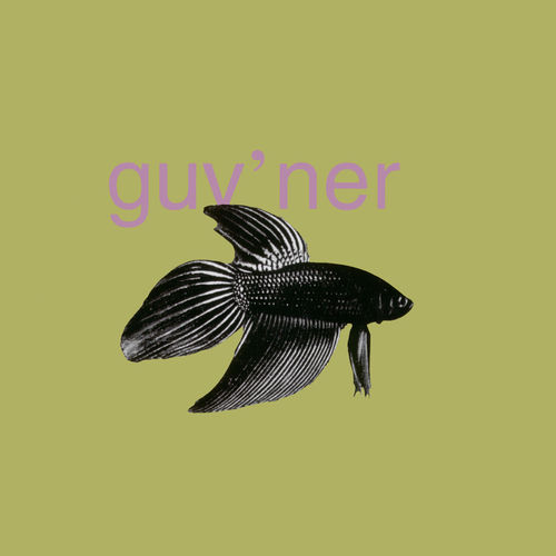 Guv’ner头像