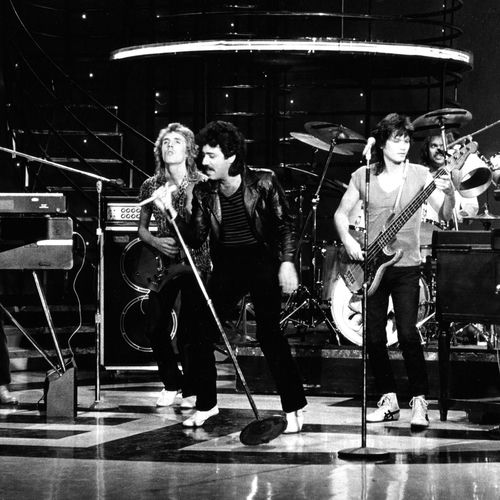 Franke & the Knockouts头像