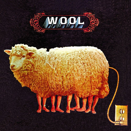 Wool头像