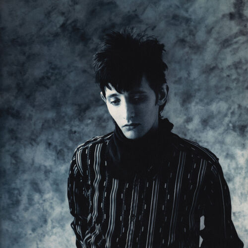 Rowland S. Howard头像