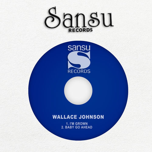 Wallace Johnson头像