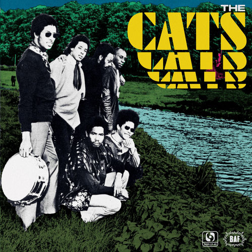 The Cats头像