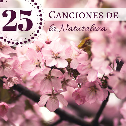 Flor de Loto头像