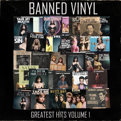 Banned Vinyl头像