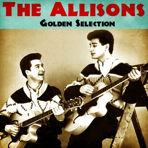 The Allisons头像