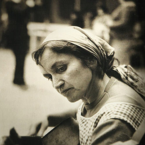 Violeta Parra头像