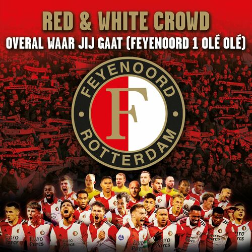 Red & White Crowd头像