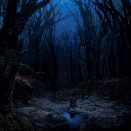 Woods of Desolation头像