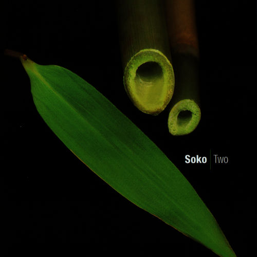 Soko头像
