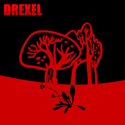 Drexel头像